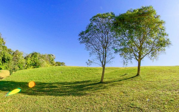 Land Acquisition Loans